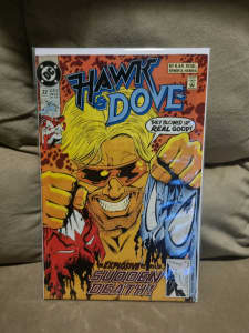 Hawk and Dove comic book 