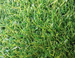 artificial grass 20mm pile high best price guarantee $70/10M2(1m*10m)