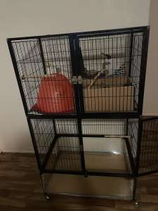 Double rat cage