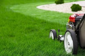 Lawn Mowing and Garden Care