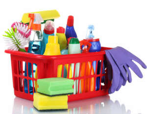 House Cleaner / Cleaning Services - $45