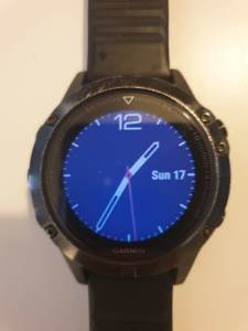 Garmin Fenix 5 GPS watch