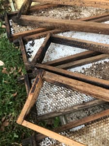 Bee frames Ideal Size with plastic foundation