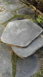 Blue step stones slabs (500 - 700 width)