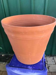 pot brown pot plastic