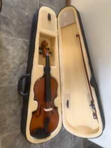 Violin x 2