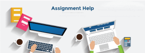 Unleash Your Academic Writing - Get Expert Report/Thesis/Research Help