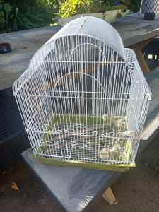Bird cage $20