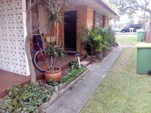 Room to let at Ettalong Beach