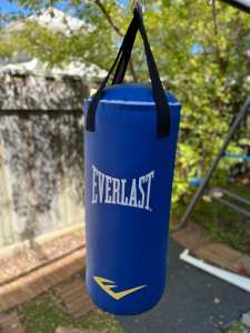Everlast Heavy Bag and Glove Pack