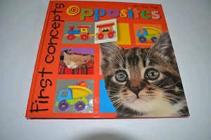 Discovery Toys First Concepts Opposites Lift-the-flap Book