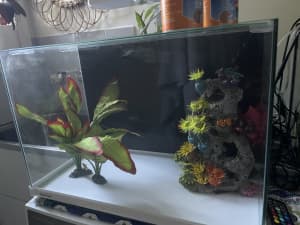 Small aquarium