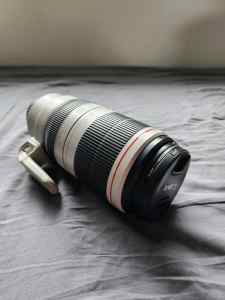 Canon EF 100-400mm f/4.5-5.6 IS USM II L Lens