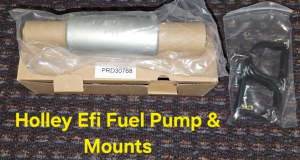 Holley Efi kit ( Holley sniper fuel System kit ) 