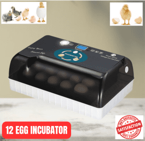 12 Egg Incubator Temperature Control Automatic - Limited Stock