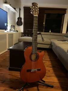 Hohner Professional TWP Classic-N Guitar - Nylon Acoustic-Electric.