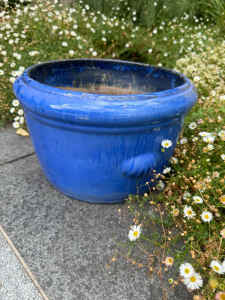 Large ceramic glazed pot