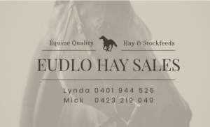 Lucerne Hay Premium Equine Quality