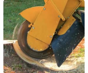 Stump grinding and tree removal