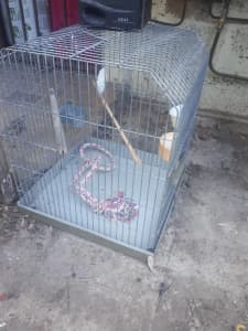 dog cage on olx