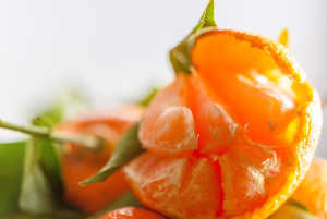 Clementine Mandarin - Citrus Clementina
