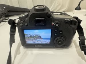 Canon 6D full-frame body with lens
