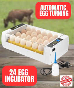 24 Egg Incubator Automatic Egg Turning Temperature - Limited Stock