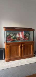 aquarium fish tank for sale
