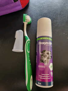 Dog toothbrushes and doggy paste