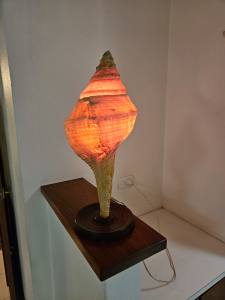 Large Sea Shell Lamp