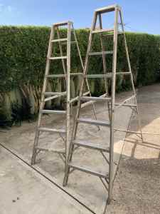 Aluminium ladder tresses platform