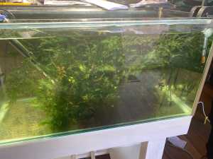 Aquarium Fish Tank 2 foot