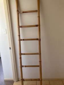 Beautiful Bamboo Ladder