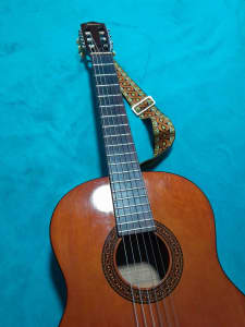 MATON acoustic guitar and case