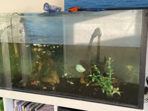 How to Use Box/Corner Filters in an Aquarium - PetHelpful