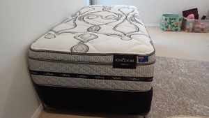 Single bed and cot sale