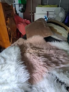 Assorted Cushions & Fluffy Floor Mats