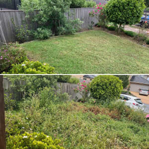 Garden maintenance, call me for free quote please