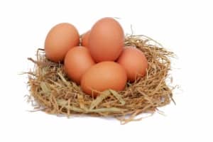 Fertile eggs for sale - chickens breeds listed in description