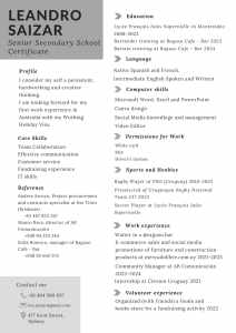 My CV, looking for a job