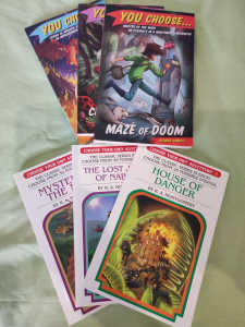Choose your own adventure books. 6 books