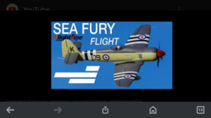 RC planes ( Flightline Sea Fury)