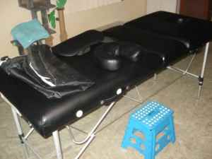 Massage Therapy Bed--Lightweight--Chair Massage Therapy--Storage Bags