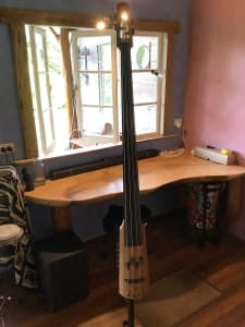 NS design CR4M limited edition electric upright bass