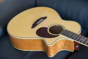 Breedlove J350/Efe12 12 string acoustic with hard case