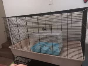 petstock rat cage