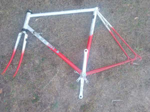 Custom made Bicycle frame 