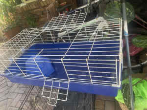 Guinea pig cage