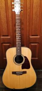 Ibanez AW10 Acoustic Guitar