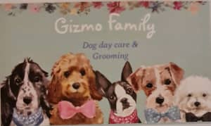 Grooming , Day Care, Dog Hotel 